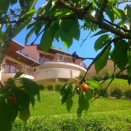 Курортный комплекс Domaine La Chataigneraie 4*