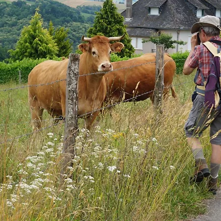 Domaine La Chataigneraie Курортный комплекс 4*