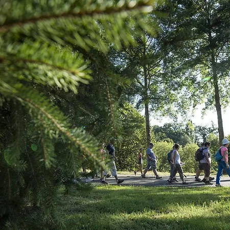 Курортный комплекс Domaine La Chataigneraie 4*